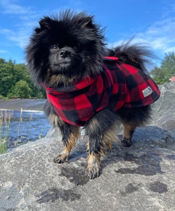 Dog Drying Coat