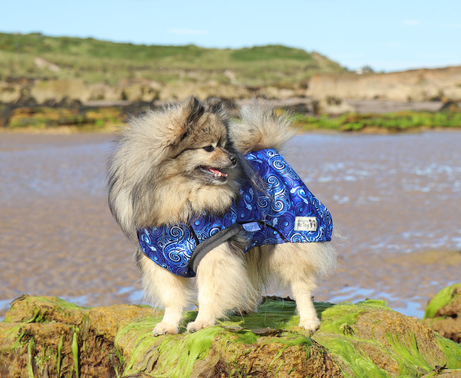 Destiny Waterproof Microfleece McTog Dog Jumper - Full Poppers Step In