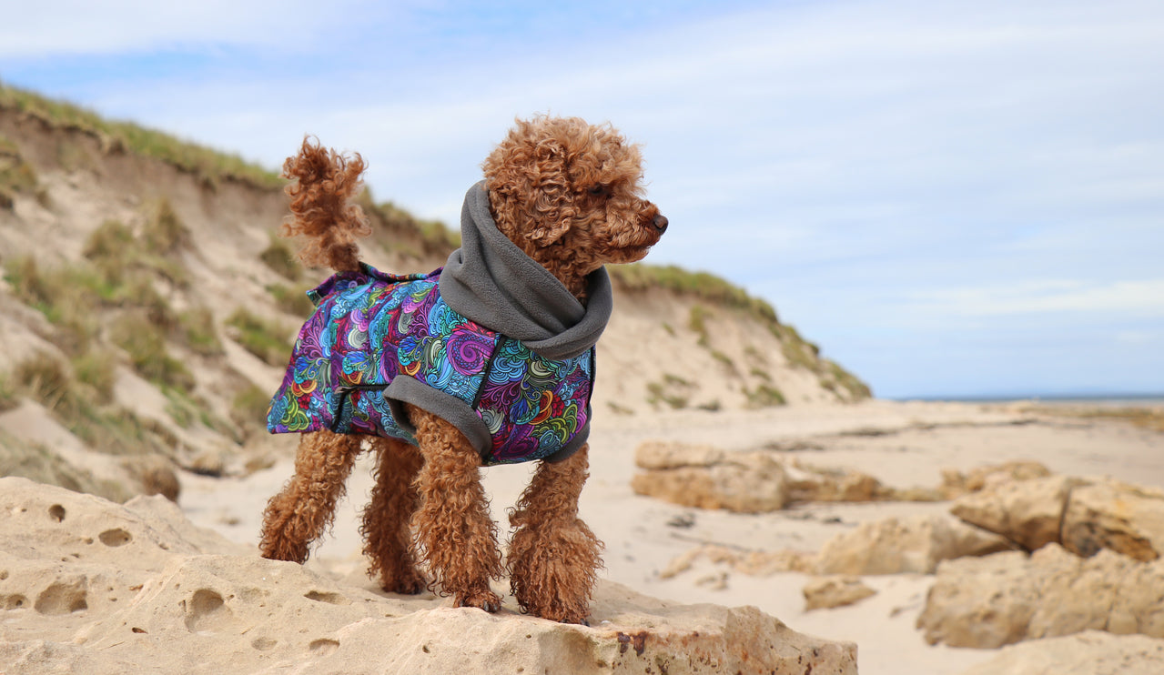 Dreamer Waterproof Microfleece McTog Dog Jumper - Back Poppers