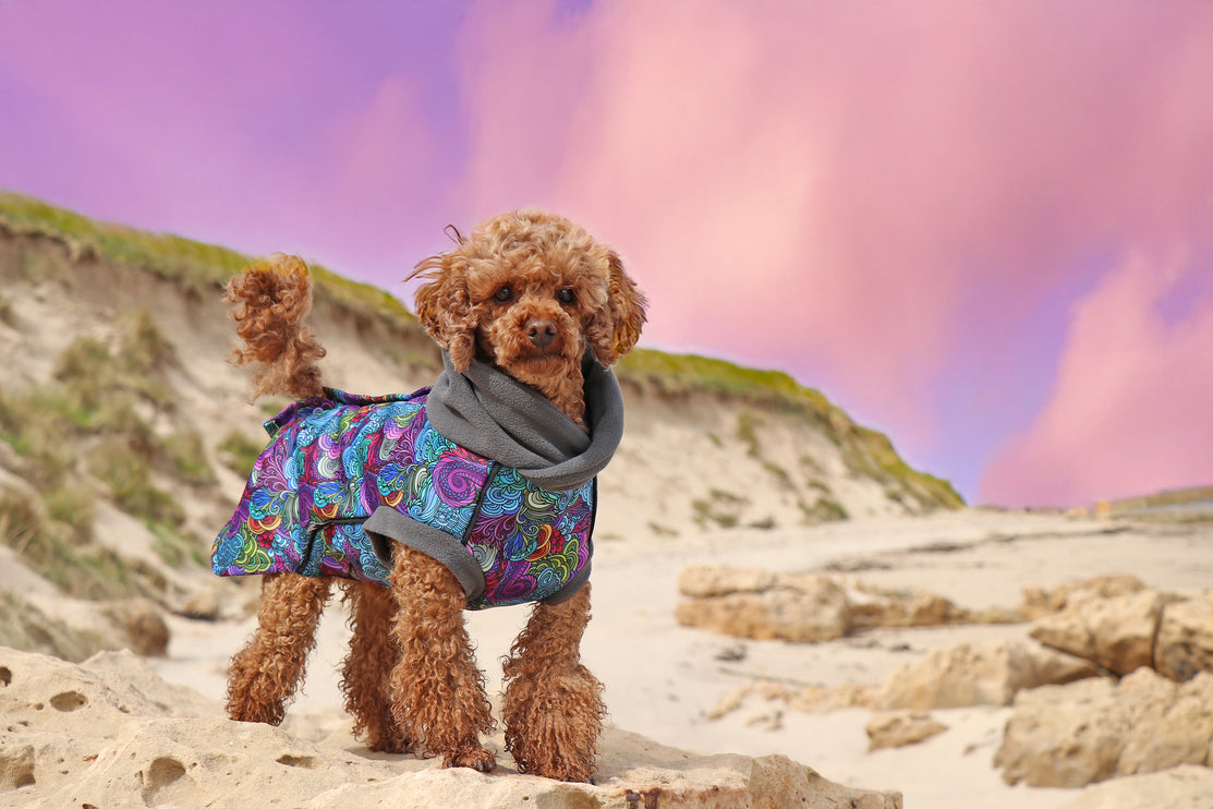 Dreamer Waterproof Microfleece McTog Dog Coat - Back Poppers