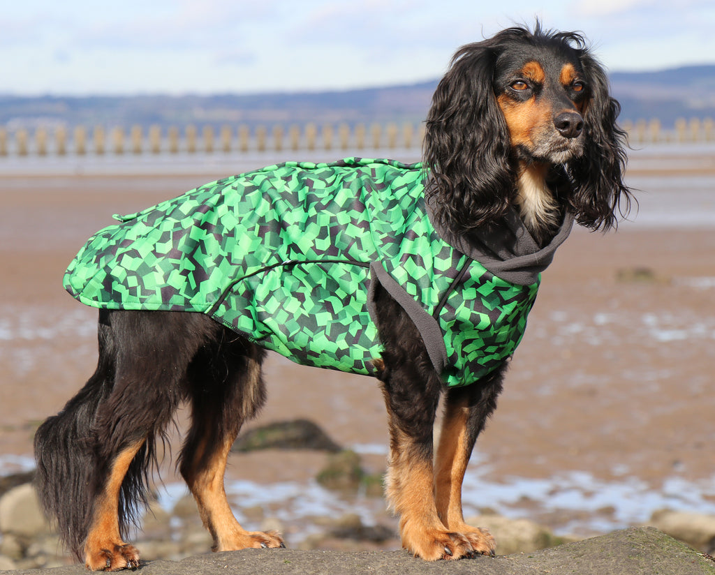 Cockapoo raincoat hot sale uk