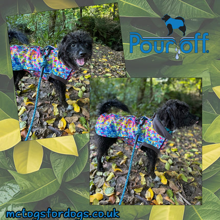 Razzle Dazzle McTog - Waterproof Microfleece Dog Jumper - Step In Poppers