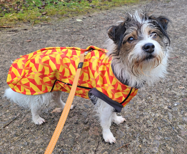 One of the most unique dog coats on the market