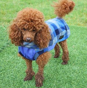 Blue tartan 2024 dog coat